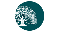 Leilão Carvalho Rocha